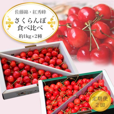 【2026年発送】【定期便2回】さくらんぼ約1kg×2種_H177(R8)