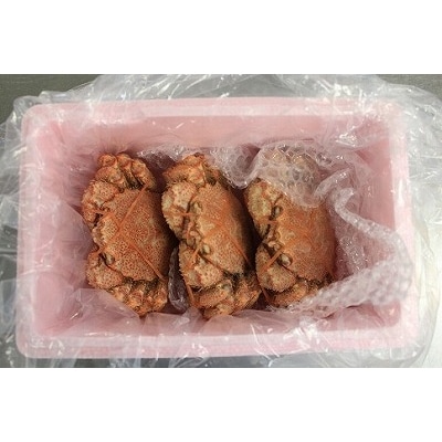 【12/31決済分まで1月配送】毛ガニ330g前後×3尾 C-66010