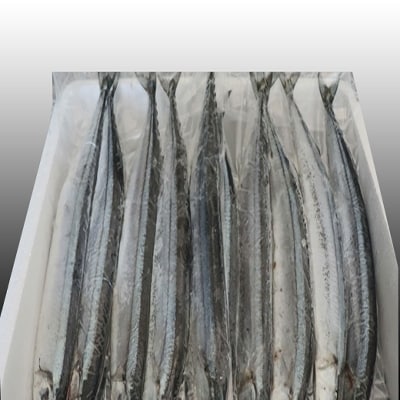 【12/31決済分まで1月配送】【北海道根室産】冷凍さんま60尾 D-36002