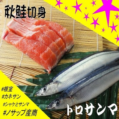 【12/31決済分まで1月配送】★生冷凍サンマ5本入×2P・秋鮭切身3切れ×1P A-59002