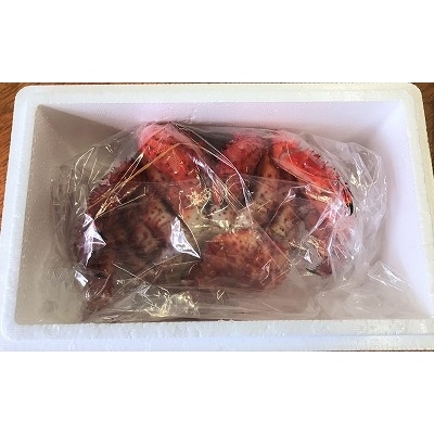 【12/31決済分まで1月配送】【北海道根室産】花咲ガニ400g以上×1尾 A-59004