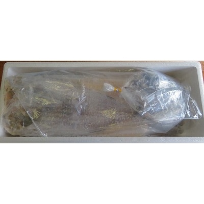 【12/31決済分まで1月配送】【北海道根室産】ホッケ・コマイセットB B-59003