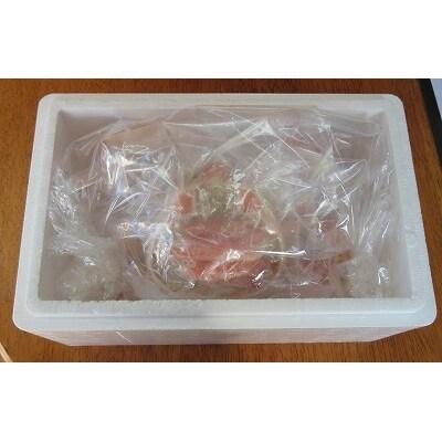 【12/31決済分まで1月配送】ずわいがに甲羅盛り120g×5個 B-59006