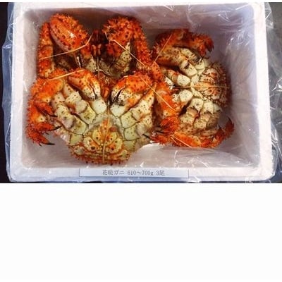 【12/31決済分まで1月配送】【北海道根室産】花咲ガニ610～700g×3尾 B-57004