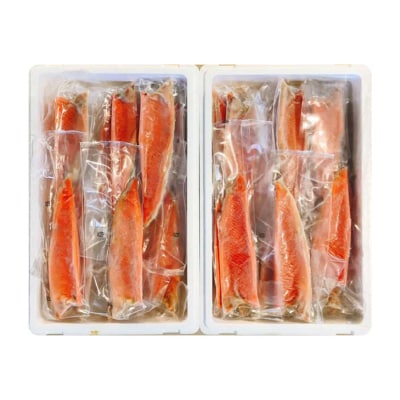 【12/31決済分まで1月配送】旨塩!とろサーモンハラミ10kg D-09006