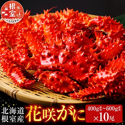 【12/31決済分まで1月配送】【北海道根室産】花咲かに400～600g×10尾 D-70007