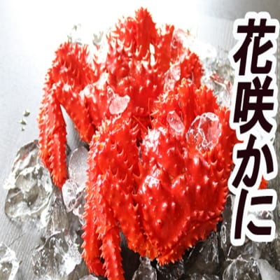 【12/31決済分まで1月配送】【北海道根室産】花咲かに400～600g×10尾 D-36007
