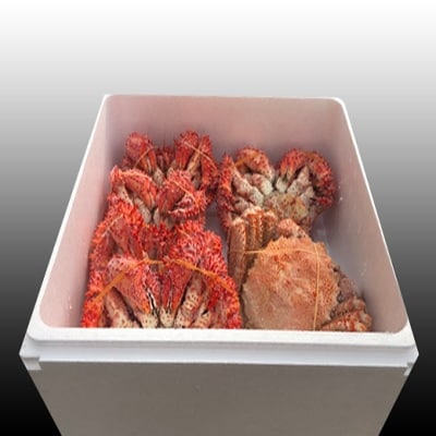 【12/31決済分まで1月配送】【北海道根室産】毛かに・花咲かにセット D-70039