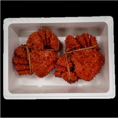 【12/31決済分まで1月配送】【北海道根室産】花咲がに500g×2尾 B-01027