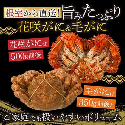 【12/31決済分まで1月配送】花咲がに2尾、毛がに2尾セット C-54005