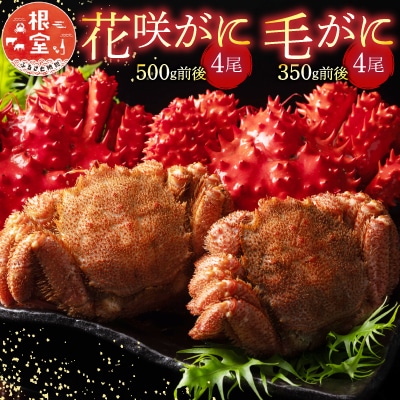 【12/31決済分まで1月配送】花咲がに4尾、毛がに4尾セット D-54006