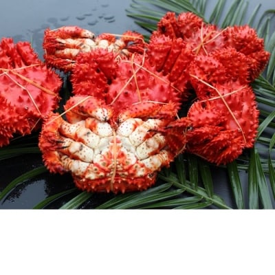 【12/31決済分まで1月配送】【北海道根室産】花咲ガニ4～6尾(計1.2kg) A-57037
