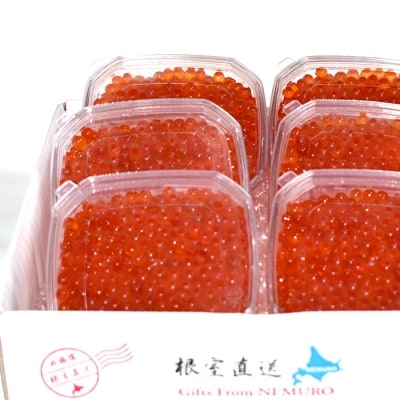 【12/31決済分まで1月配送】秋鮭いくら100g×6P(計600g) C-24008