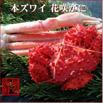 【12/31決済分まで1月配送】本ズワイガニ足1肩、花咲ガニ1尾 A-57040
