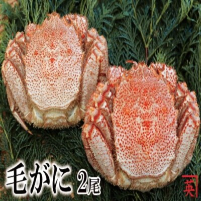 【12/31決済分まで1月配送】【北海道根室産】ボイル毛蟹400g～480g×2尾 B-27010