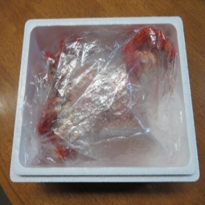 【12/31決済分まで1月配送】【北海道根室産】花咲がに、醤油イクラセット C-59020