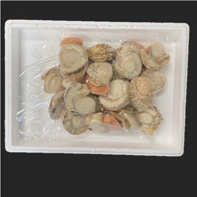 【12/31決済分まで1月配送】【北海道根室産】ボイルほたて800g A-01033