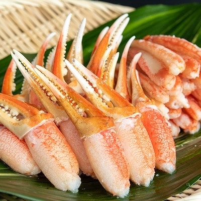 【12/31決済分まで1月配送】ボイル本ズワイガニむき身600gセット B-35009