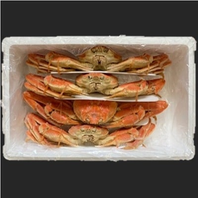 【12/31決済分まで1月配送】ずわいがに姿4尾(計3kg) D-01049