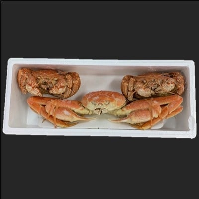 【12/31決済分まで1月配送】ずわいがに姿800g×1尾、毛がに500g×2尾 D-01039