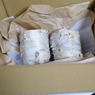 【12/31決済分まで1月配送】【北海道根室産】白樺丸太キャンドルホルダー A-31003