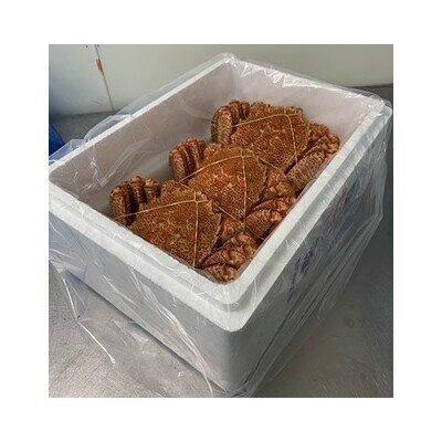 【12/31決済分まで1月配送】毛がに500～600g×3尾 D-60009