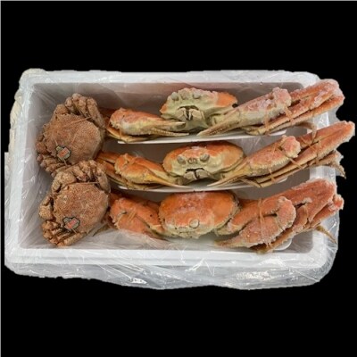 【12/31決済分まで1月配送】ずわいがにと毛がにセット E-01005