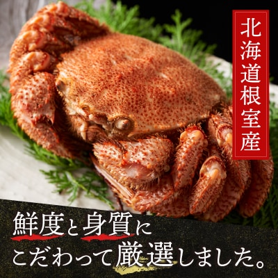 【12/31決済分まで1月配送】【北海道根室産】毛がに450g前後×1尾 A-21006
