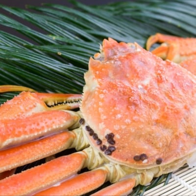 【12/31決済分まで1月配送】ずわい蟹600g×2尾 C-66017