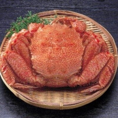 【12/31決済分まで1月配送】毛蟹700g×1尾 C-66016