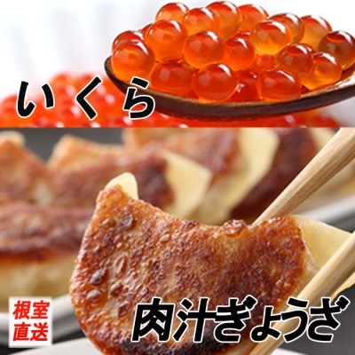 【12/31決済分まで1月配送】餃子25個×2P、いくら醤油漬け100g×2P B-70029