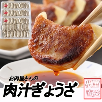 【12/31決済分まで1月配送】餃子25個×3P B-70041