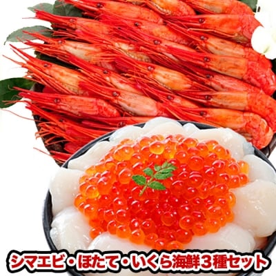 【12/31決済分まで1月配送】シマエビ500g・ほたて300g・いくら200g B-81004