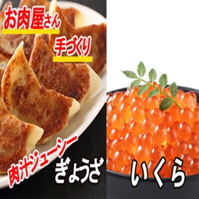 【12/31決済分まで1月配送】餃子25個×1P、いくら醤油漬け100g×1P A-30041
