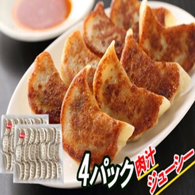 【12/31決済分まで1月配送】餃子25個×4P C-30066