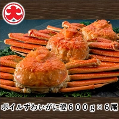 【12/31決済分まで1月配送】ボイルずわいがに姿600g×6尾 D-01053