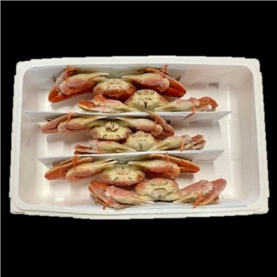 【12/31決済分まで1月配送】ボイルずわいがに姿600g×6尾 D-01053