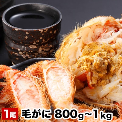 【12/31決済分まで1月配送】毛がに800g～1kg×1尾 B-48016
