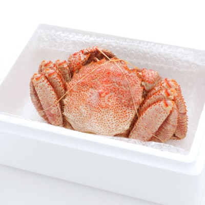 【12/31決済分まで1月配送】毛がに800g～1kg×1尾 B-48016