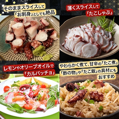 【12/31決済分まで1月配送】【北海道根室産】真たこ1本足1～1.3kg A-19004