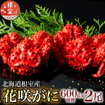 【12/31決済分まで1月配送】【北海道根室産】花咲がに600g前後×2尾 B-20001