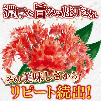 【12/31決済分まで1月配送】【北海道根室産】花咲がに600g前後×2尾 B-20001