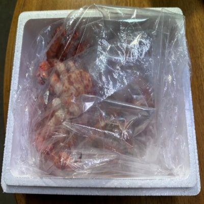 【12/31決済分まで1月配送】花咲がに1尾、ずわいがに甲羅盛り4P F-59006