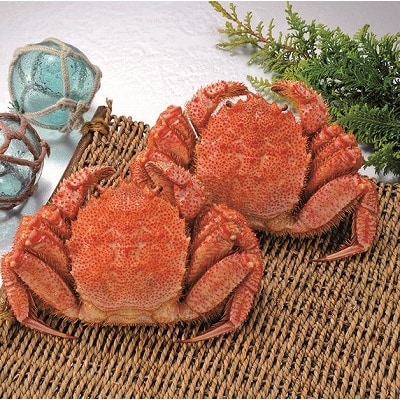 【12/31決済分まで1月配送】毛がに2尾とずわいがにカット脚(棒肉・肩肉・爪肉) C-01008