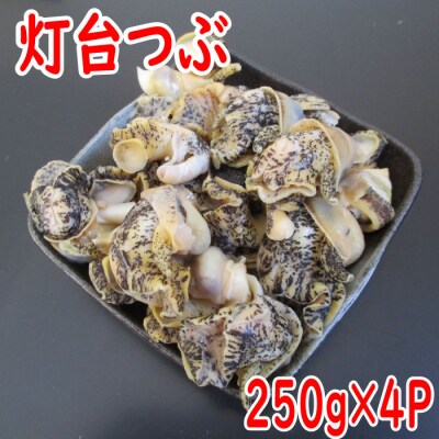 【12/31決済分まで1月配送】【北海道根室産】灯台つぶむき身250g×4P A-19005