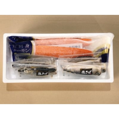 【12/31決済分まで1月配送】お刺身トラウトサーモン600g、塩さばフィレ8P A-09064