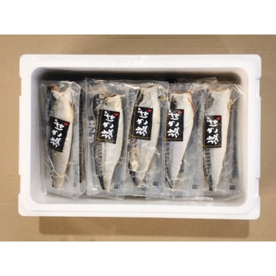 【12/31決済分まで1月配送】[個包装]塩さばフィレ1枚×35P B-09032