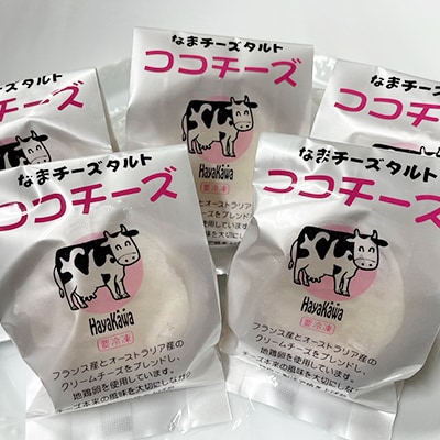 【12/31決済分まで1月配送】なまチーズタルト ココチーズ A-17001