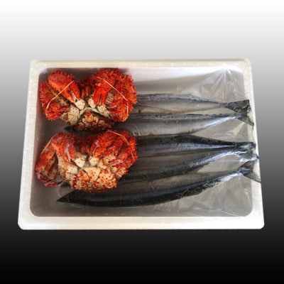 【12/31決済分まで1月配送】【北海道根室産】花咲かに2尾・冷凍さんま5尾セット A-70004