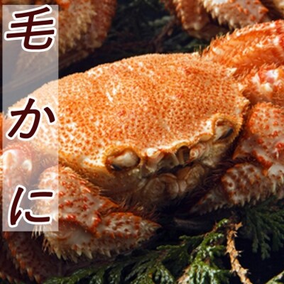 【12/31決済分まで1月配送】毛かに400g前後～550g前後×1尾 B-30021